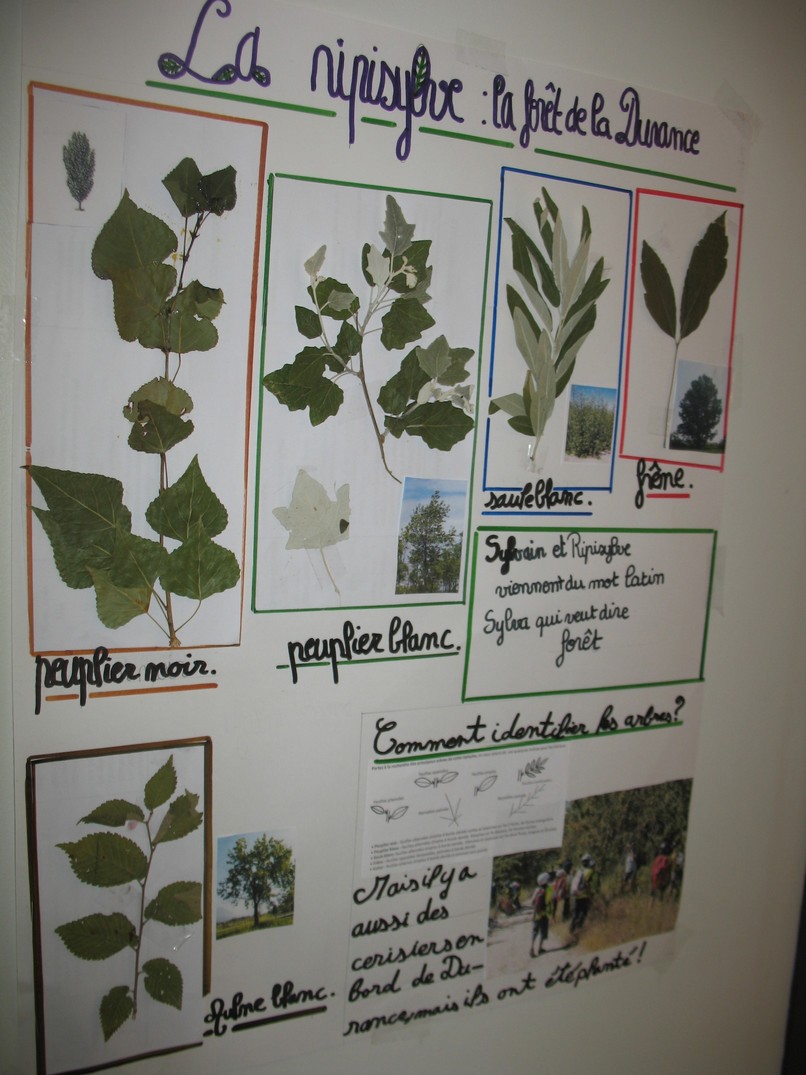 Fiche 3