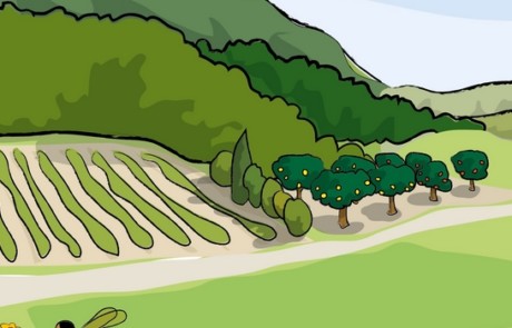 Bandeau Ressources éducatives thématique Biodiversité (La Vache Noire)