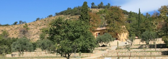 La Thomassine à Manosque - photo PNRL Nathalie Teil