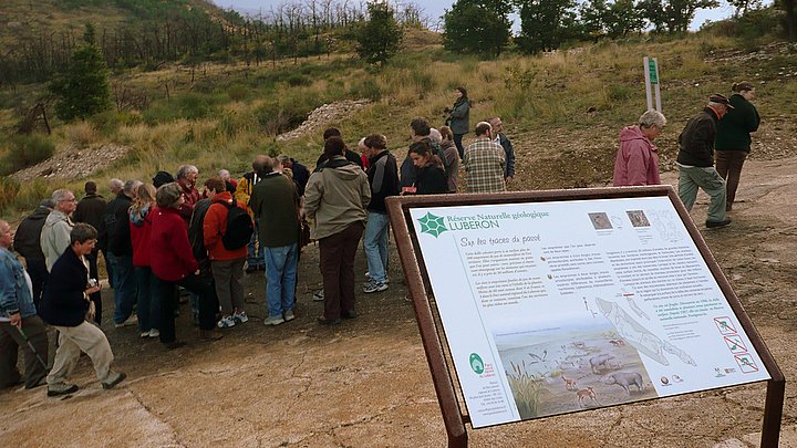 Visite de la dalle à empreintes de pas de mammifères de Viens (photo PNRL - Stéphane Legal)