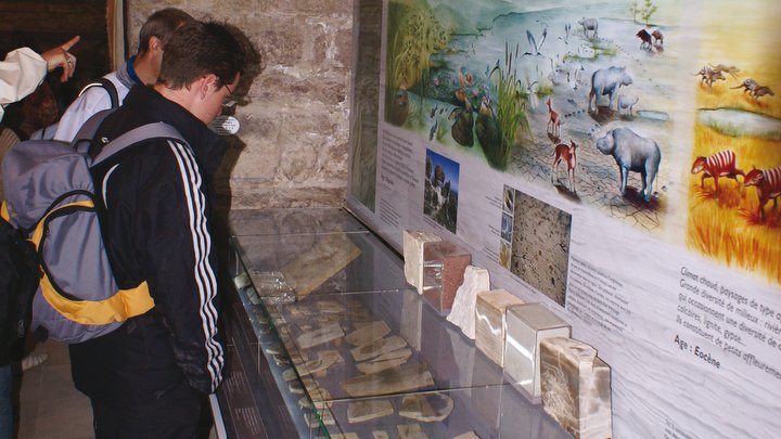 Musée de géologie à la Maison du Parc, à Apt (photo PNRL - Stéphane Legal)