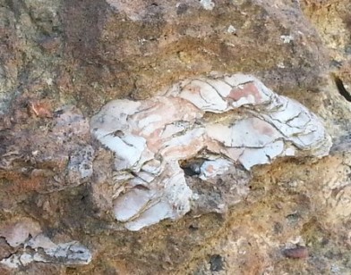 Géoparcs en toutes lettres