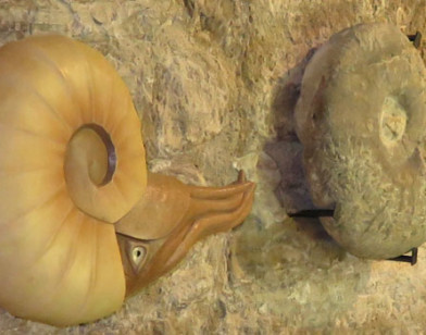 Musée de géologie à Apt