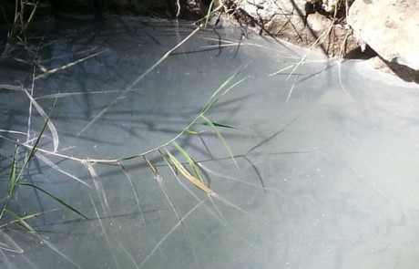Source d'eau sulfureuse à Saint-Martin-les-Eaux (photo PNRL - Stéphane Legal)