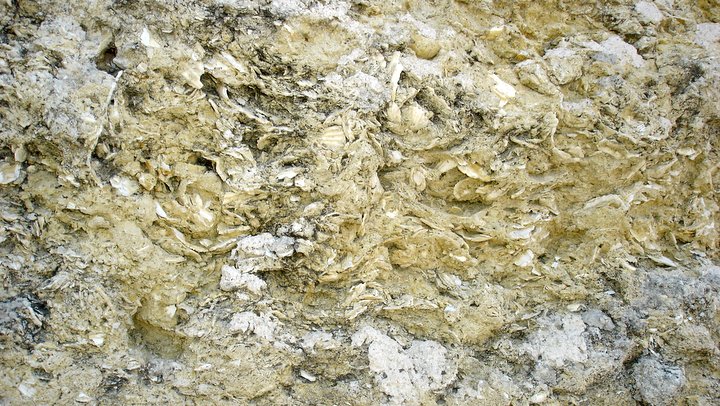 "Molasse de Cucuron" formation calcaire visible sur le sentier (photo PNRL - Stéphane Legal)