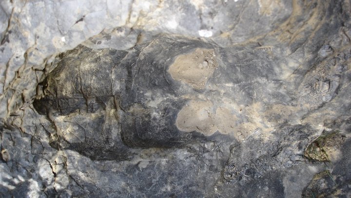 Figure d'érosion : le pied de boeuf (photo PNRL - Stéphane Legal)