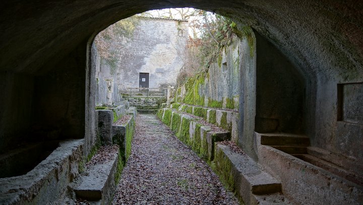 Galerie et tombes rupestres du prieuré de Carluc (photo PNRL - Stéphane Legal)