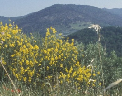 Adrets de Montjustin - Les Craux - Rochers et crêtes de Volx