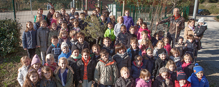 Les élèves de notre école Les élèves lors de la plantation de l'olivier