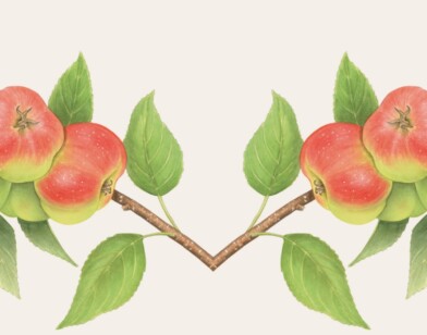 La Journée des fruits et saveurs d'autrefois