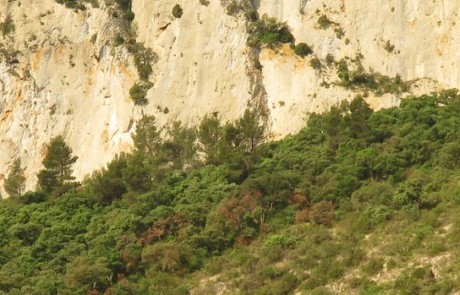 Entrée sud de la combe de Lourmarin (photo Stéphane Legal)