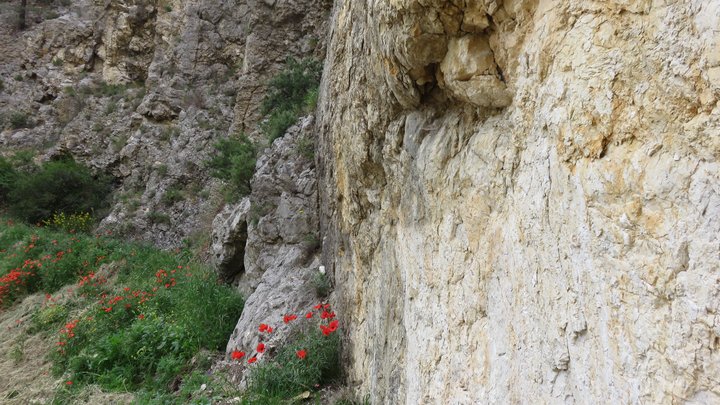 Faille dans la carrière de Bon Dieu à Lourmarin (photo PNRL - Stéphane Legal)