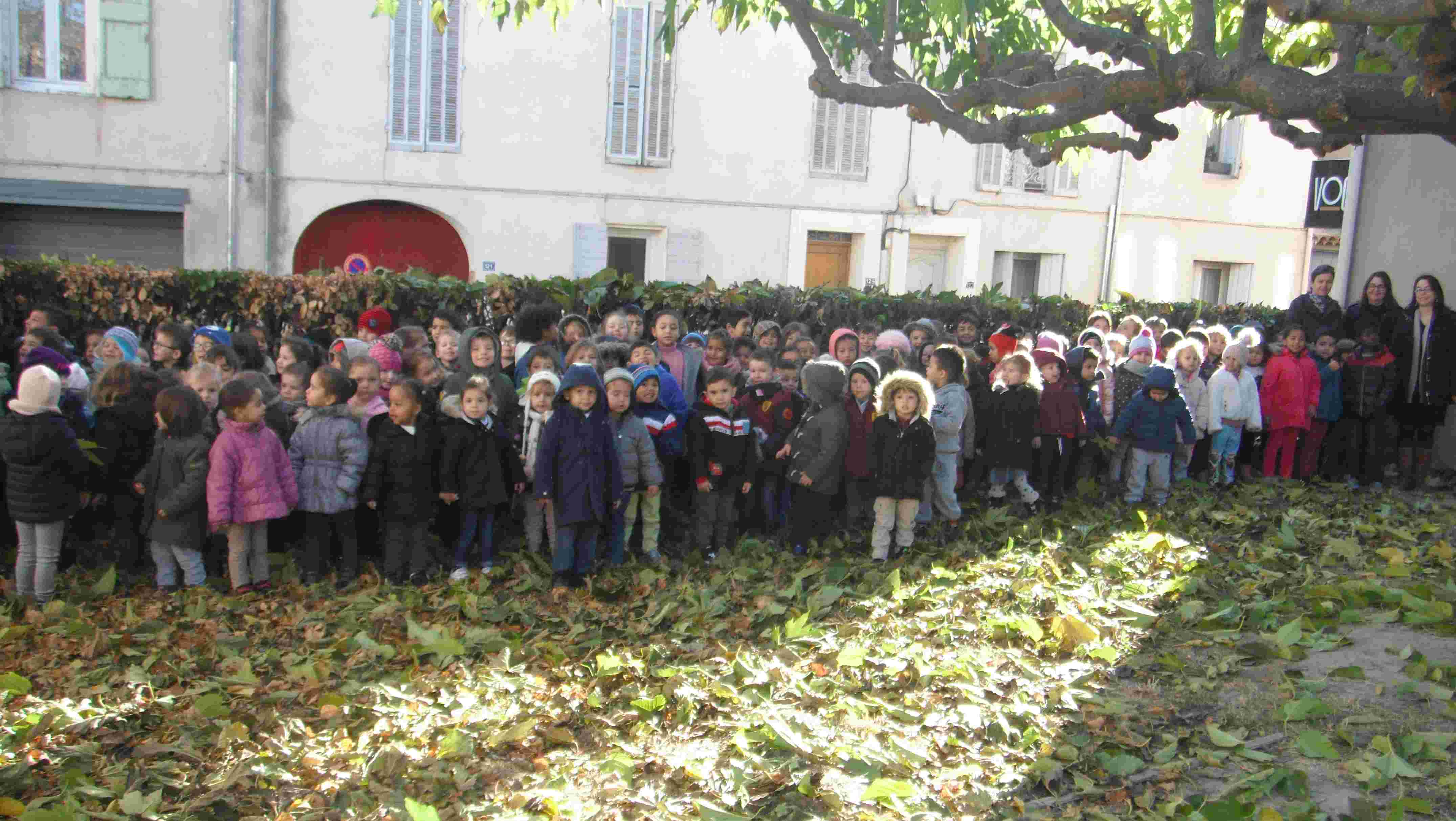 leselevesdelecole_c_ecoleduparc_pertuis Les élèves lors de la plantation de l'olivier