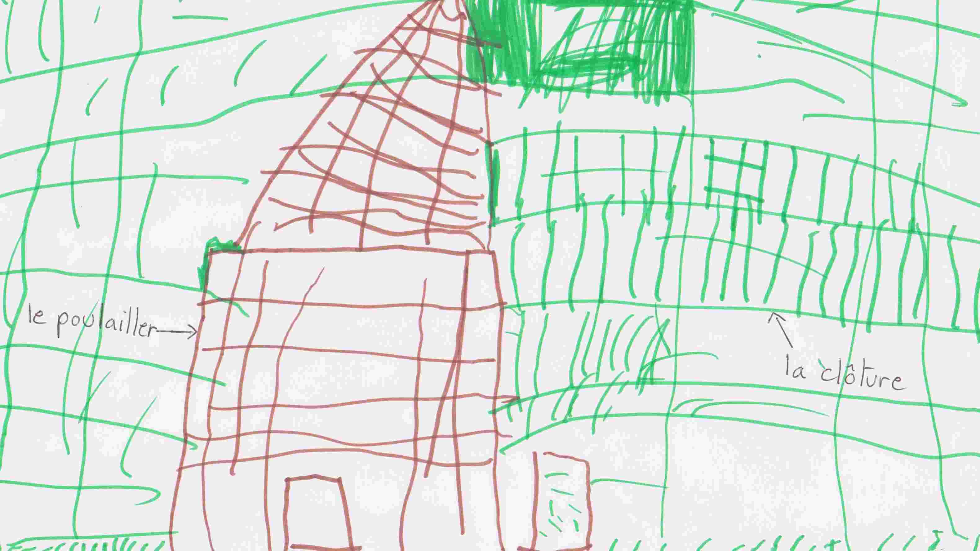 Dessin du poulailler 1-enfant de 4 ans© franck_tourniaire