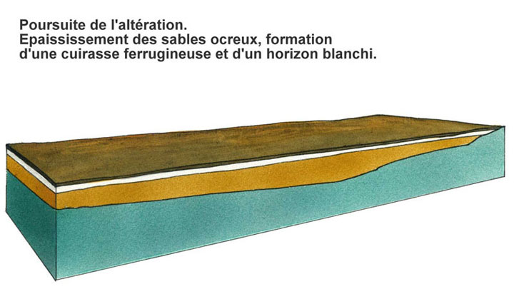 s ocres (illustration Bernard Nicolas)