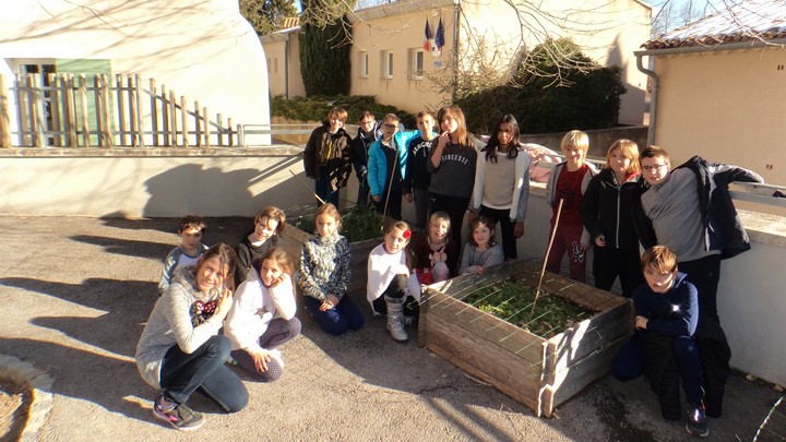 Les élèves lors de la plantation de l'olivier