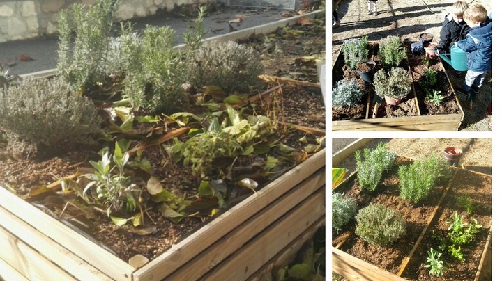 Les aromatiques©Ecole Empereur