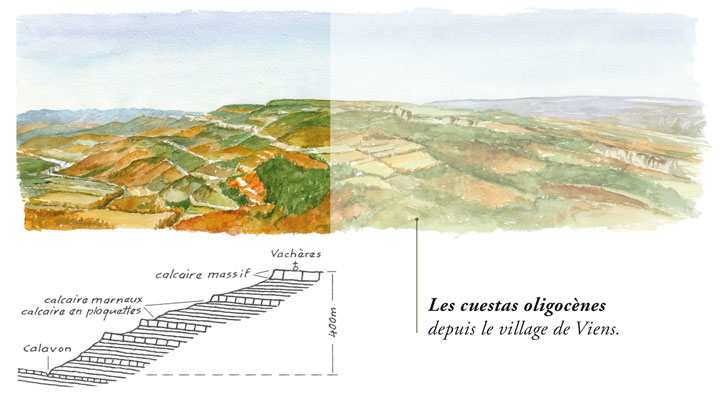 Cuestas oligocènes vues de Viens (dessin Georges Bronner - Exposition Géoballade)