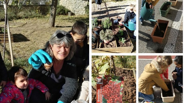 Les plantations©Ecole Empereur