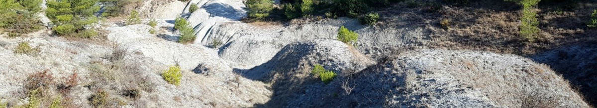 Marnes aptiennes de la Tuilière (photo PNRL - Stéphane Legal)