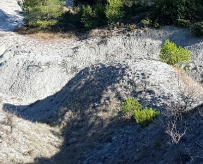 Marnes aptiennes de la Tuilière (photo PNRL - Stéphane Legal)