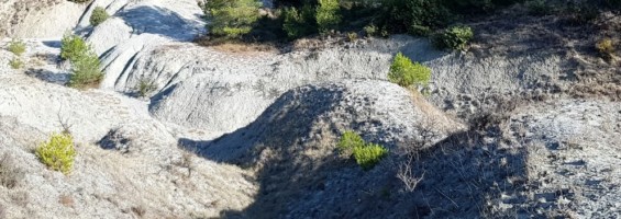 Marnes aptiennes de la Tuilière (photo PNRL - Stéphane Legal)