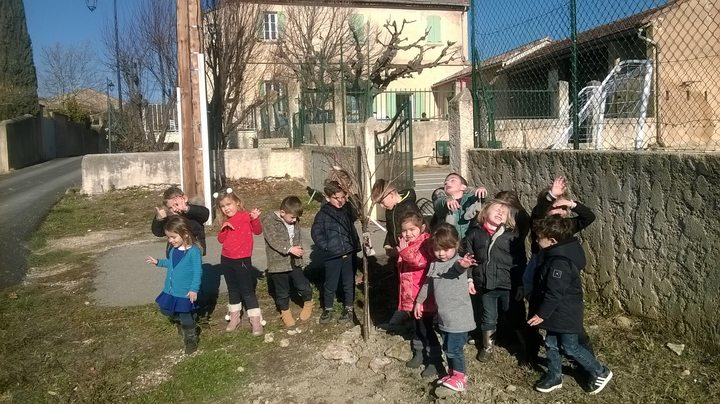 Les enfants devant leur coin nature Les élèves lors de la plantation de l'olivier