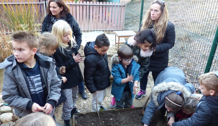 Les élèves lors de la plantation de l'olivier