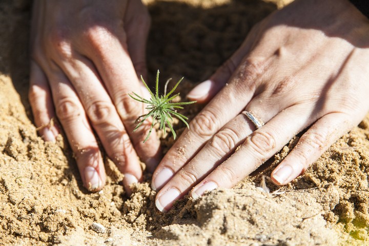 Un lien entre l’homme et la nature © David Tatin