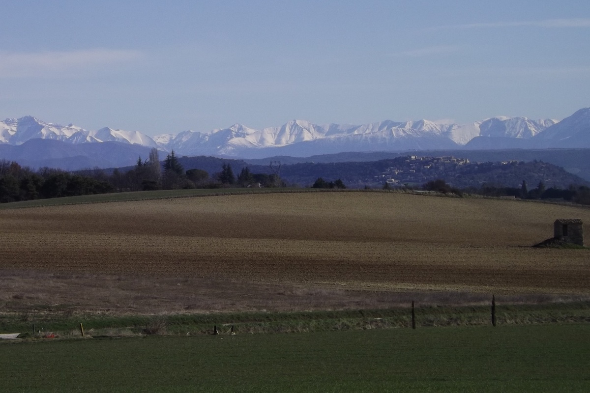 Forcalquier, Pays de Forcalquier Montagne de Lure © PNRL - Françoise Boulet