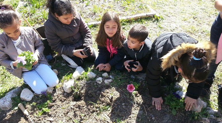 autour des carrés© ecole La Colline