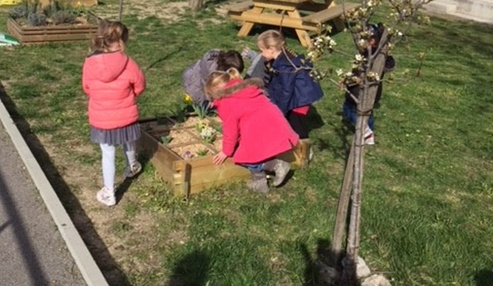 coin nature mars3© ecole Empereur