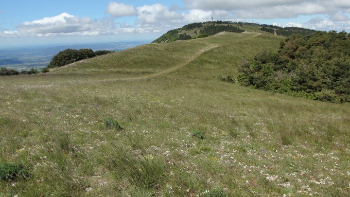Les crêtes du Grand Luberon Les crêtes du Grand Luberon © PNRL - Julien Baudat-Franceschi