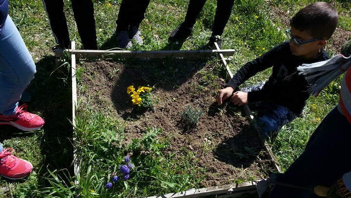 soins_plantes©ecole de la Colline