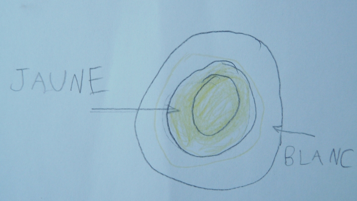 dessin2 oeuf© Ecole Ansouis