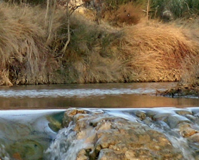 La rivière Calavon-Coulon - Photo Robert Caracchioli
