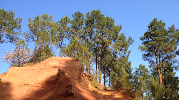 Falaises de sables ocreux, Roussillon