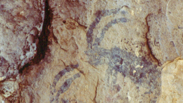 Motifs néolithiques