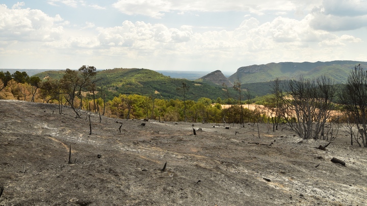 Incendie de Villeneuve-Niozelles le 2 août 2022