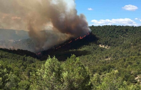 incendie_c_labastidonne