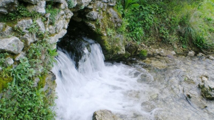 Source de Boulon