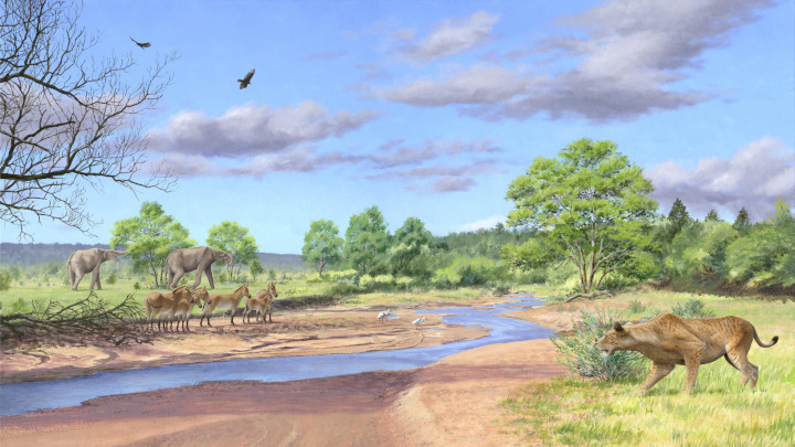 Reconstitution du paléopaysage à Cucuron à la fin du Miocène