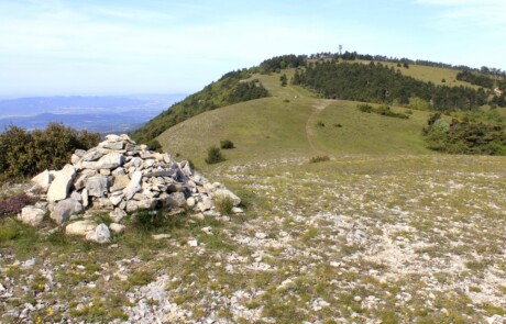 Crêtes du Grand Luberon (PNRL-Françoise Boulet)