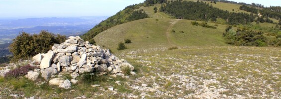 Crêtes du Grand Luberon (PNRL-Françoise Boulet)