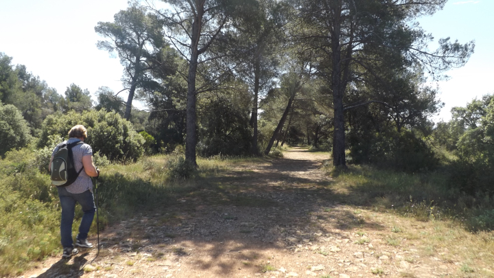 Garrigue de Mérindol (pnrl_marie_grenouilleau)