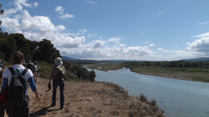 Garrigue de Mérindol (pnrl_marie_grenouilleau)