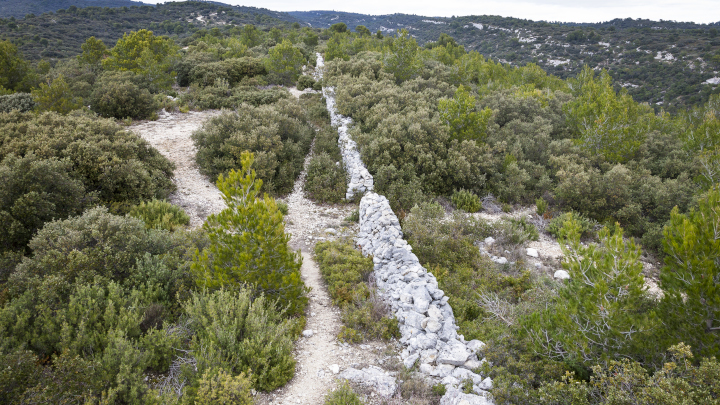 Mur de la Peste (David Tatin)