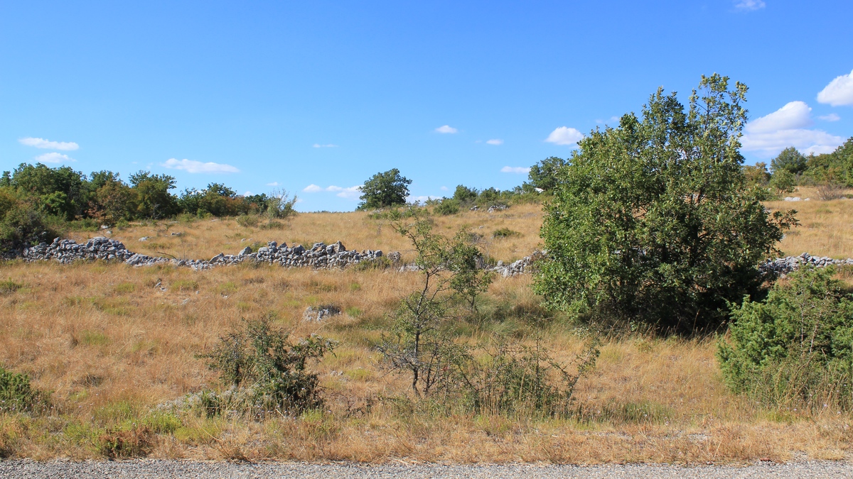 Plateau d'Albion (PNRL-Françoise Boulet)
