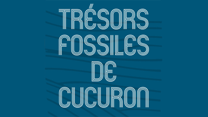 Trésors fossiles de Cucuron