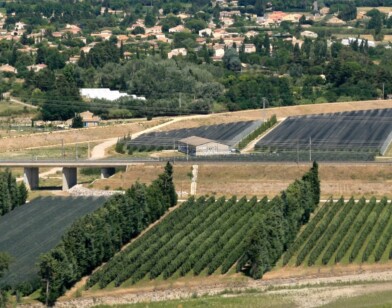 Terres nourricières en plaine de Durance